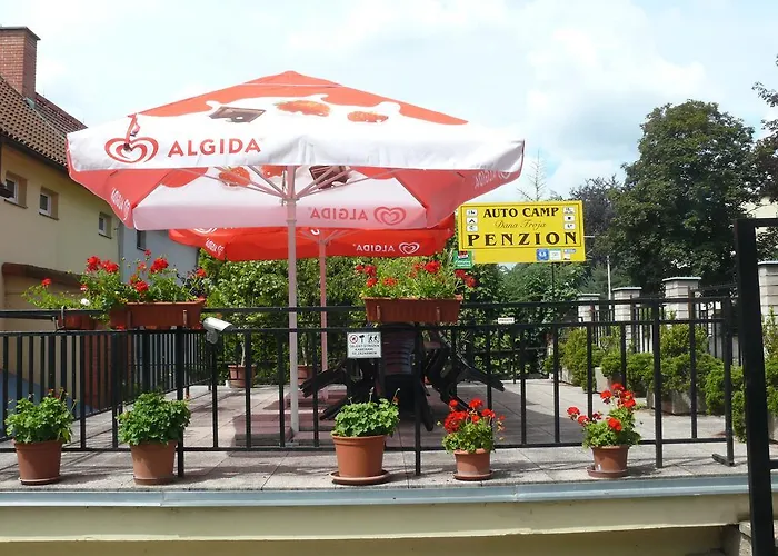 Casa de hóspedes Dana Troja *