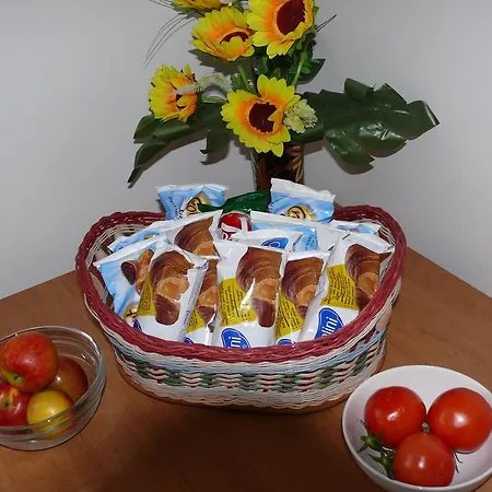 Guest house Dana Troja